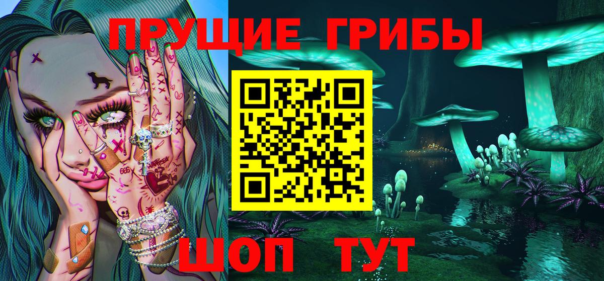Чернушка  Галлюциногенные грибы Cubensis  купить наркотики цена  Вход с VPN 