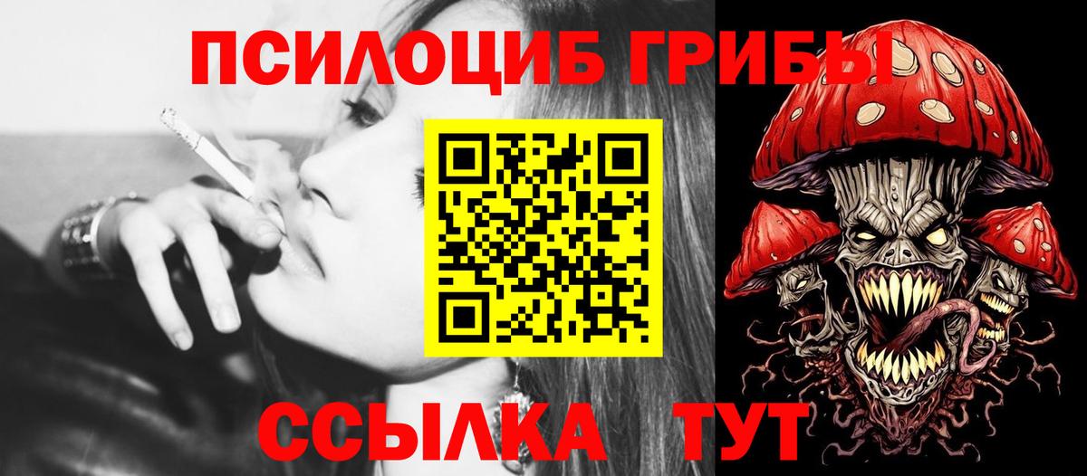 Псилоцибиновые грибы GOLDEN TEACHER Чернушка
